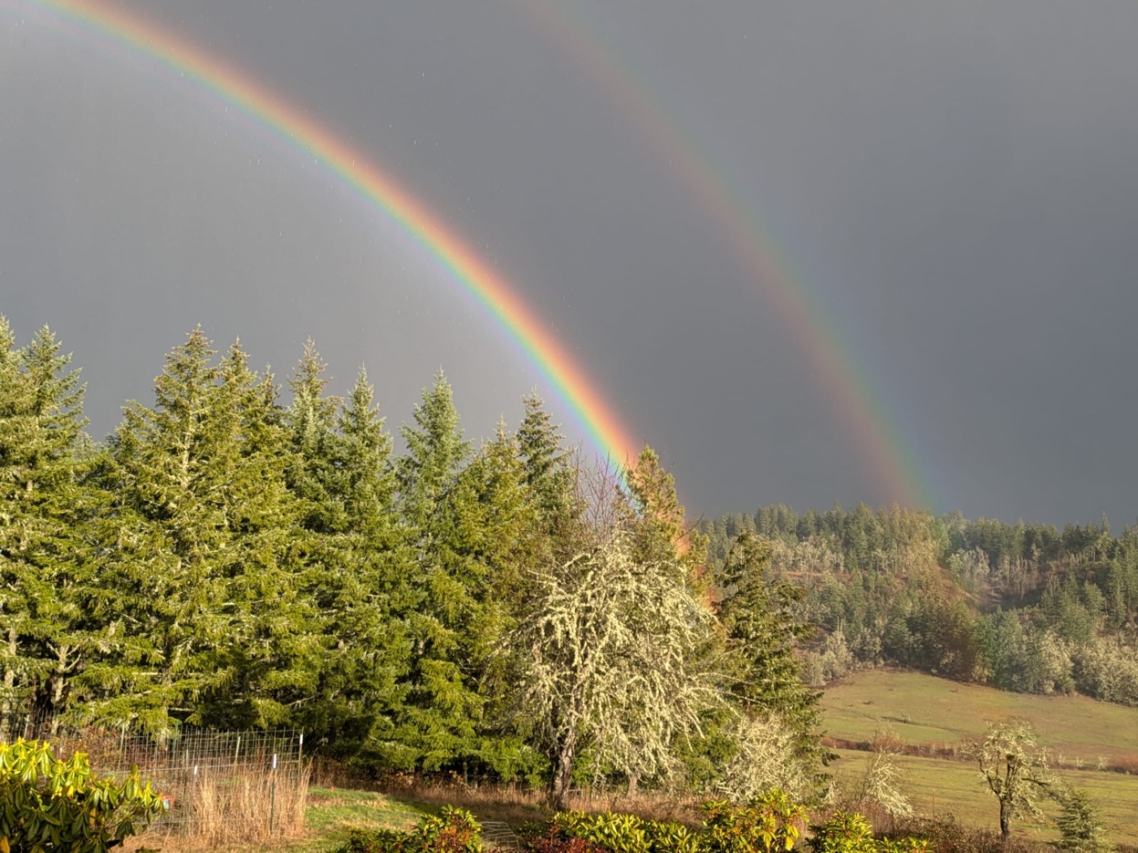 Double rainbow over Spencer Shadow Ranch with evergreens and pastures