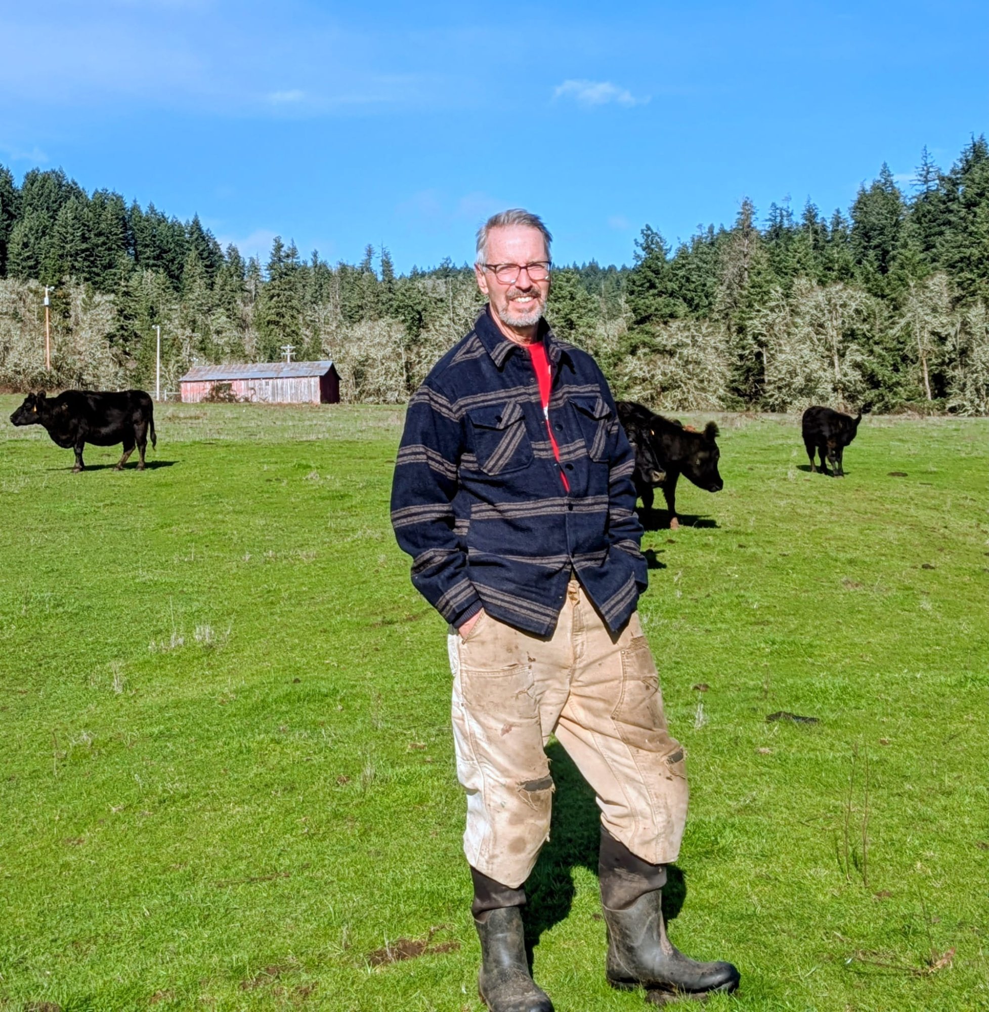 Doug McCarty with his cattle
