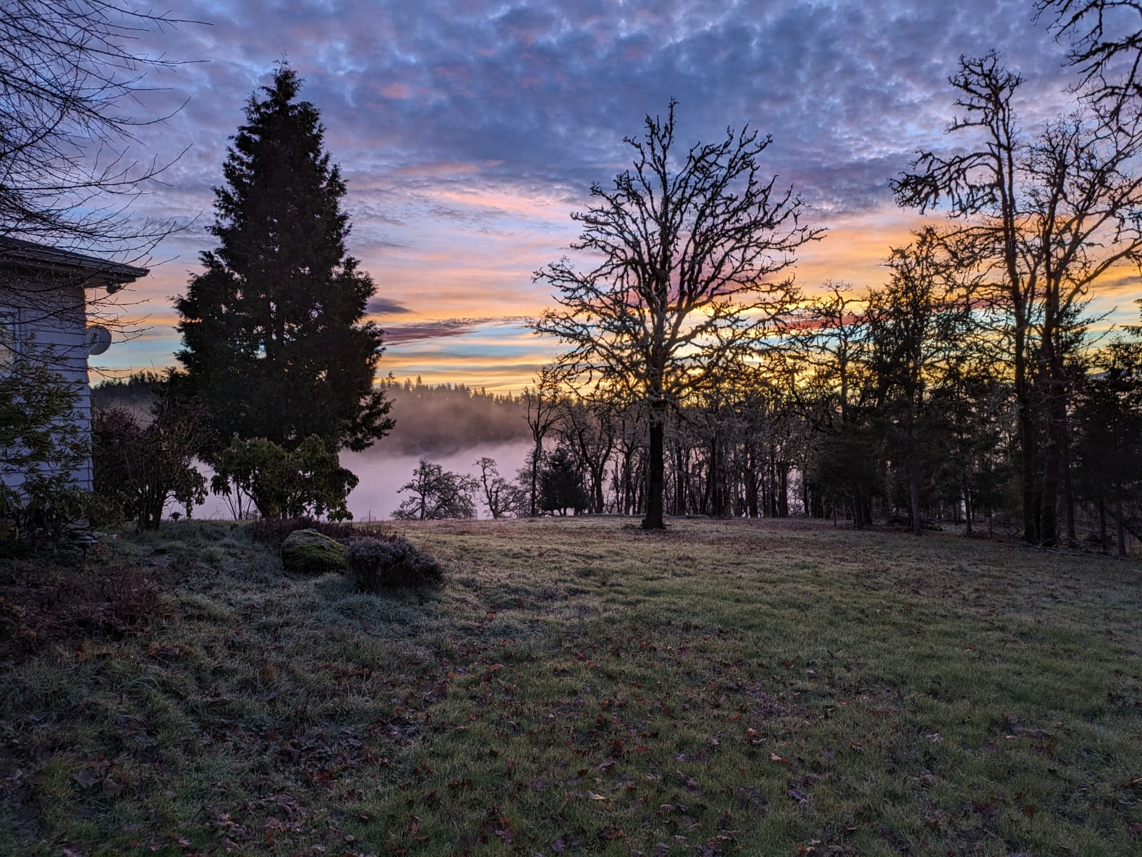 Morning fog filling the Christensen Valley at dawn with silhouetted trees