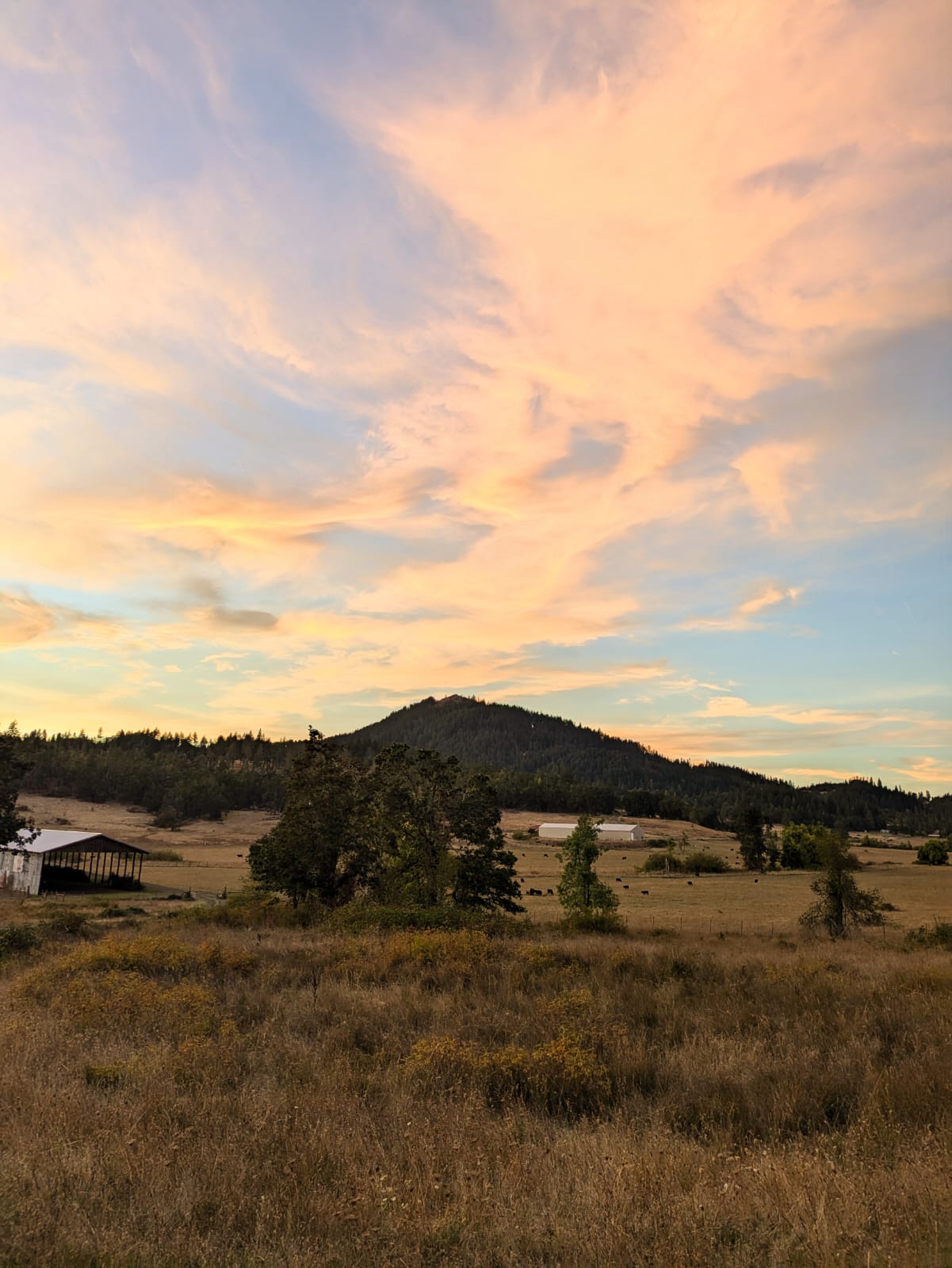 Spencer Butte at golden hour