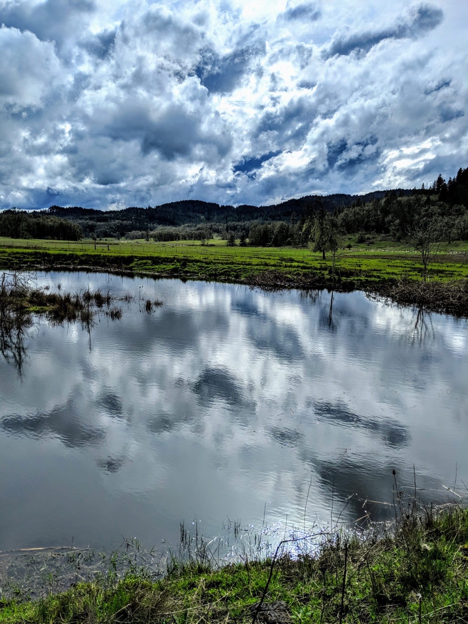 Ranch pond reflecting dramatic clouds with green pastures beyond