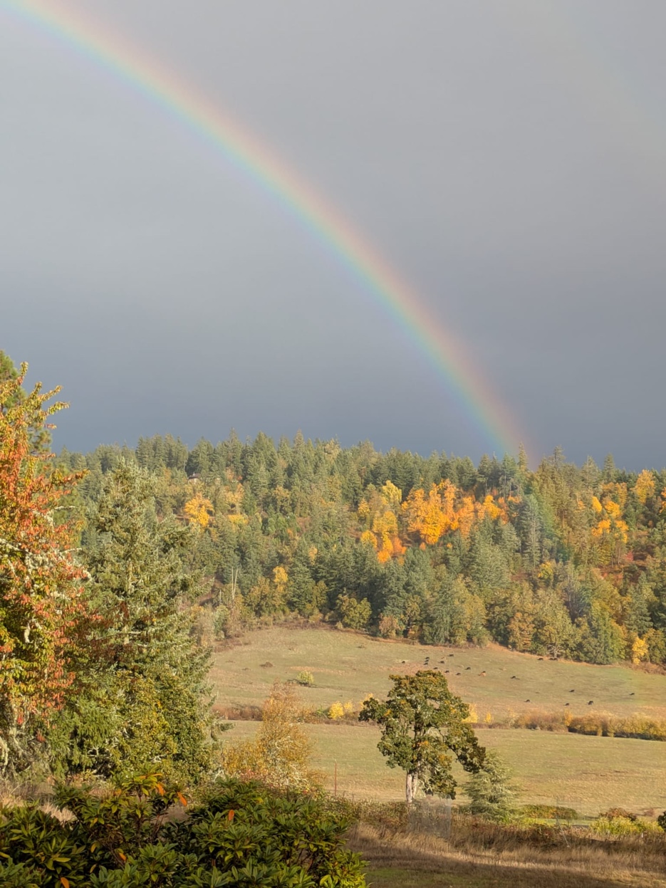 Rainbow arching over fall pastures with cattle grazing beneath autumn foliage