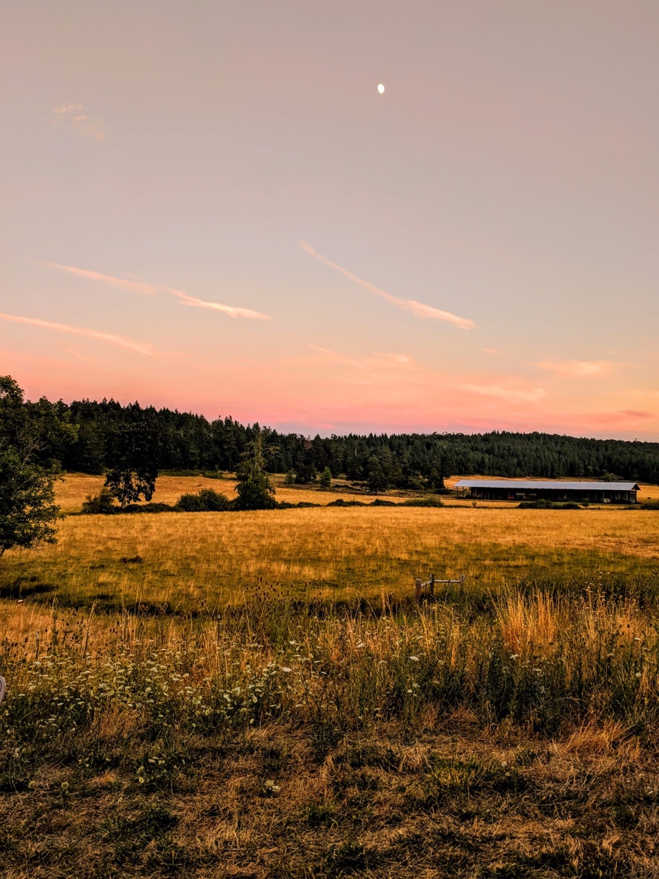 Summer sunset over golden ranch pastures with moon and barn